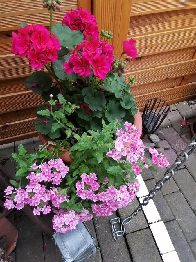 B Nolte Apartment Einbeck