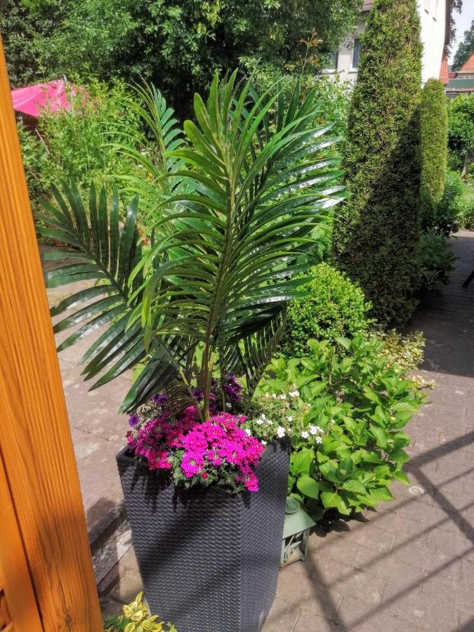 B Nolte Appartement *