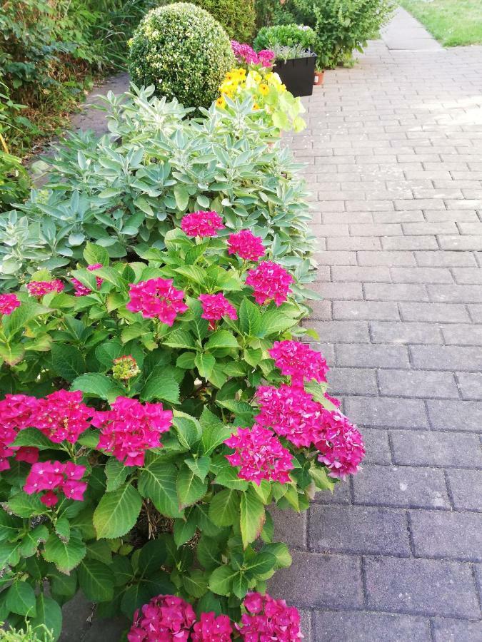 B Nolte * Einbeck