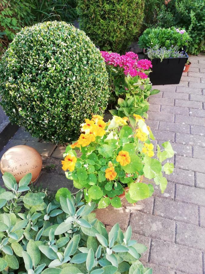B Nolte Appartement